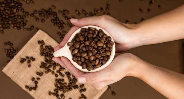 Hands holding a scoop of roasted beans